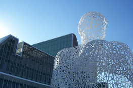 Описание изображения